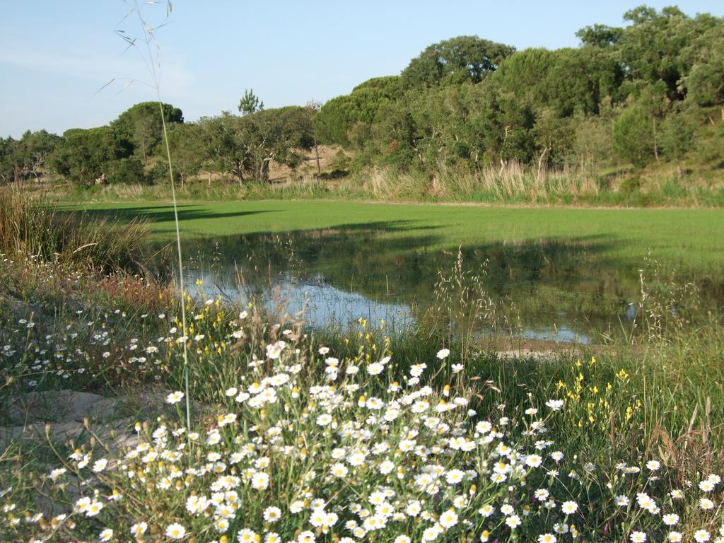 Herdades Da Ameira - Monte Do Arrozal Alcácer do Sal Habitación foto